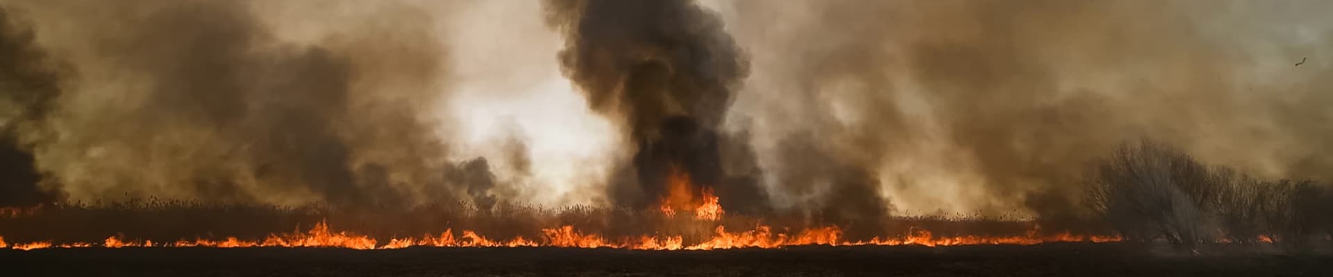 Incendi nelle foreste russe